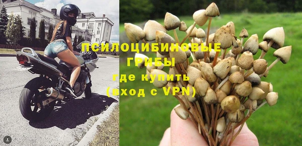 прущий лед Майский
