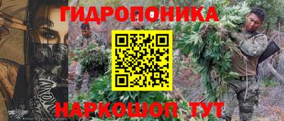 стафф Аргун