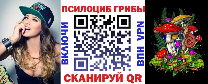 продажа наркотиков  Тейково  Галлюциногенные грибы MAGIC MUSHROOMS 