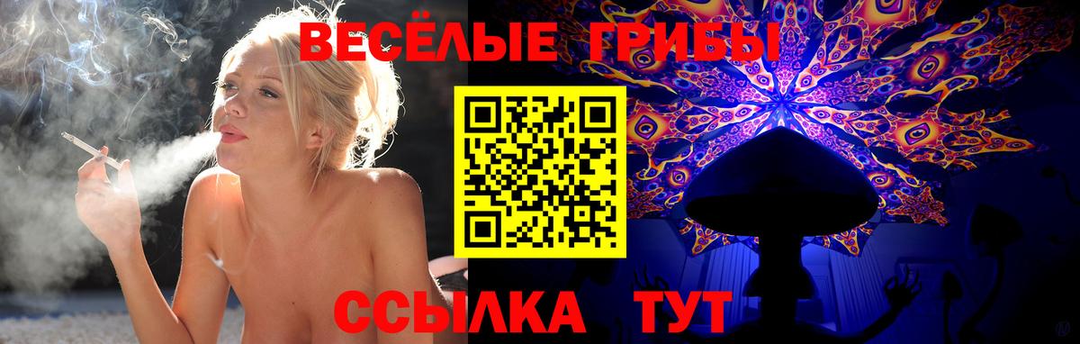 Псилоцибиновые грибы MAGIC MUSHROOMS  Тейково 